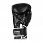 Boxerské rukavice DBX BUSHIDO BB5