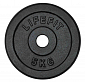 Kotouč LIFEFIT® 5kg, kovový, pro 30mm tyč