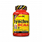 Synchro BCAA + Sustamine