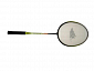 Badmintonová raketa POWER DEMON RICKY AT316 ALU  - Zelená