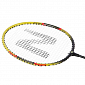 Badmintonový set NILS NR104