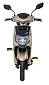 Elektrický motocykl RACCEWAY E-FICHTL, sv.zlatý-lesklý - BEZ BATERIE