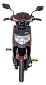 Elektrický motocykl RACCEWAY E-FICHTL, vínový-lesklý - BEZ BATERIE