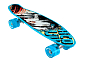 Skateboard Street Surfing BEACH BOARD  Glow Rough Poster