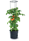 Květináč Prosperplast TOMATO GROWER na pěstování rajčat 39,2 cm antracit