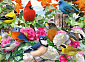 RAVENSBURGER Puzzle Zahradní ptáci 500 dílků
