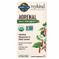 Garden of Life Mykind Organics Adrenal Daily Balance - pro podporu rovnováhy nadledvin 120 tablet