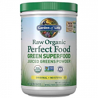 Garden of Life RAW Organic Perfect Food - Natural 414g.