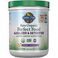 Garden of Life RAW Organic Perfect Food Alkalizer & Detoxifier 282g.