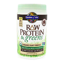 Garden of Life RAW Protein & Greeens Organic - čokoládový 611g.