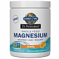 Garden of Life Magnesium Dr. Formulated - Hořčík - pomerančový 197,4g