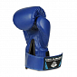 Boxerské rukavice DBX BUSHIDO ARB-407v4