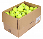 Triniti Club 72er Ballbox tenisové míče