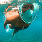 Potápěcí celoobličejová maska/brýle se šnorchlem SEDCO + GoProAD.