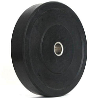 Kotouč SEDCO BUMPER PLATE - 25