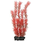 Dekorace Tetra Rostlina Foxtail Red L 30cm