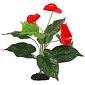 Dekorace Repti Planet Rostlina kvetoucí Anthurium 40cm