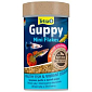 Krmivo Tetra Guppy Food 100ml