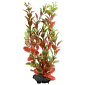 Dekorace Tetra Rostlina Red Ludwigia M 23cm