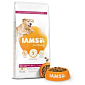 Krmivo IAMS Dog Senior Large Chicken 12kg