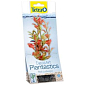 Dekorace Tetra Rostlina Red Ludwigia S 15cm