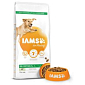 Krmivo IAMS Dog Adult Large Lamb 12kg