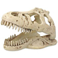 Dekorace Repti Planet T-REX lebka 13,3x8,5x9cm