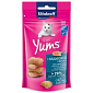 Pochoutka Vitakraft Cat Yums losos 40g