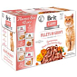 Kapsičky Brit Care Cat Flavour box filety v omáčce Multi 12x85g