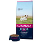 Krmivo EUKANUBA Adult Small 15kg