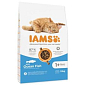 Krmivo IAMS Cat Adult Ocean Fish 10kg