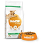 Krmivo IAMS Dog Adult Large Chicken 3kg