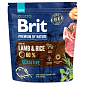 Krmivo Brit Premium by Nature Sensitive Lamb 1kg