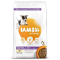 Krmivo IAMS Dog Puppy Small & Medium Chicken 12kg