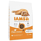 Krmivo IAMS Cat Kitten Chicken 10kg