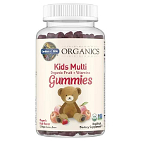 Garden of Life Organics Multi Kids Fruit - 120 Gummies